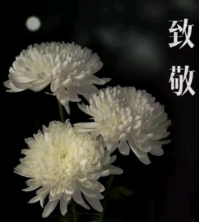 ‌‌ 《 怀念战友‌ 》 作者:强军（图6）