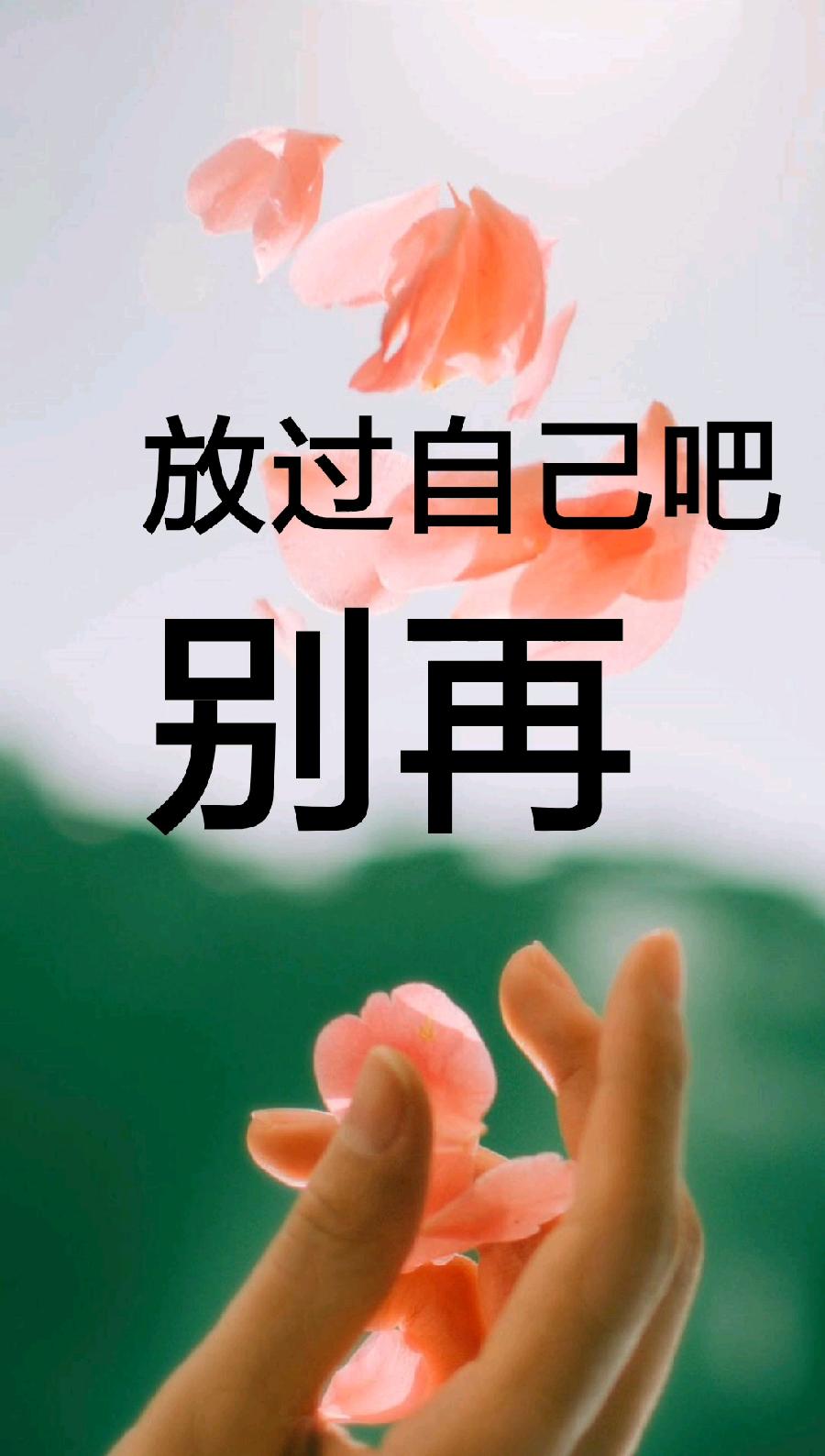 【新山东文学社】《放过自己》作者/田歌 主播/菊心拾雨(图5)