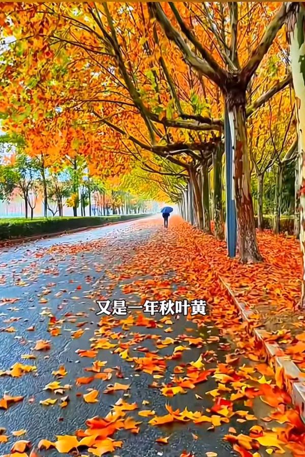 联机全球发布张志作品欣赏（图9）