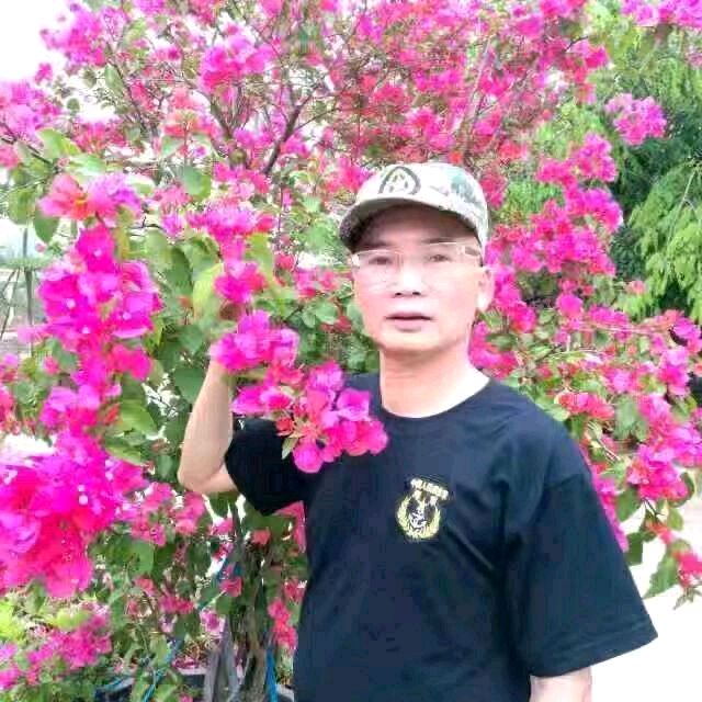 推荐丨许日辉（辉叔）七绝寒露抒感等36首（图8）