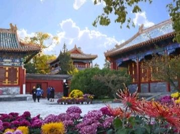 《九江文学社：北京头条》优秀诗人任学路先生诗歌欣赏《北海公园 赏秋菊展》（图2）