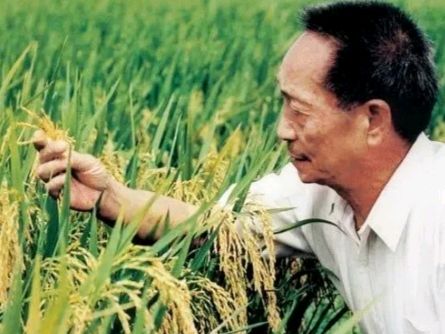 《九江文学社：有声文学平台》《读书偏为稻粮谋，比肩神农大丈夫》文/梦在远方 精英主播/凤凰之歌（图4）