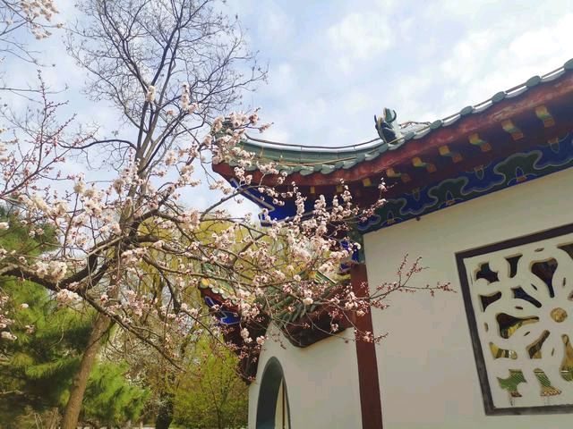 锦程公园——我们来了（图19）