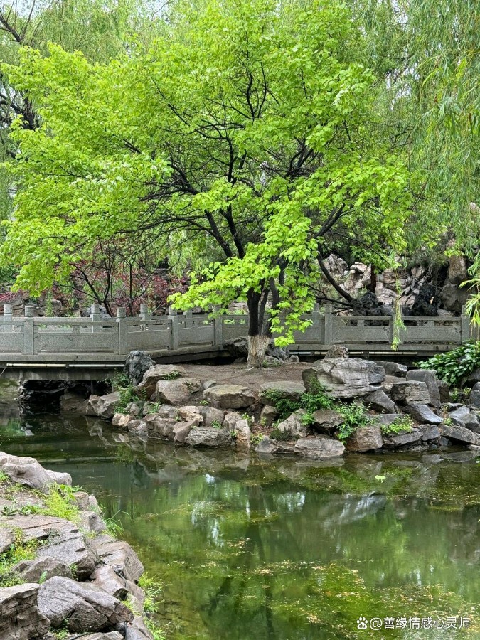 锦程公园——我们来了（图17）