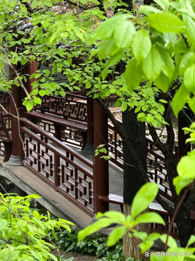 锦程公园——我们来了（图3）