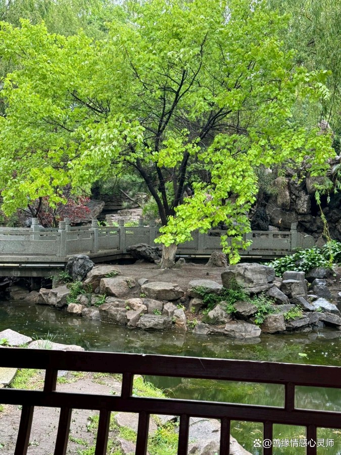 锦程公园——我们来了（图8）