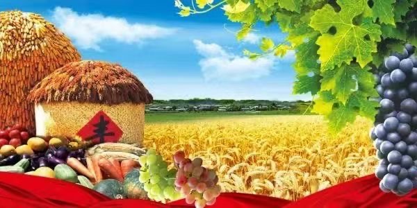 《我是农民的儿子》作者：徐春启【四合院诗刊】世界诗人名人展10263期（图3）