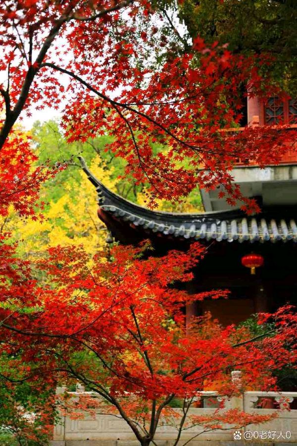 【三组词】·作者·张天明·（吉林）007期（图2）