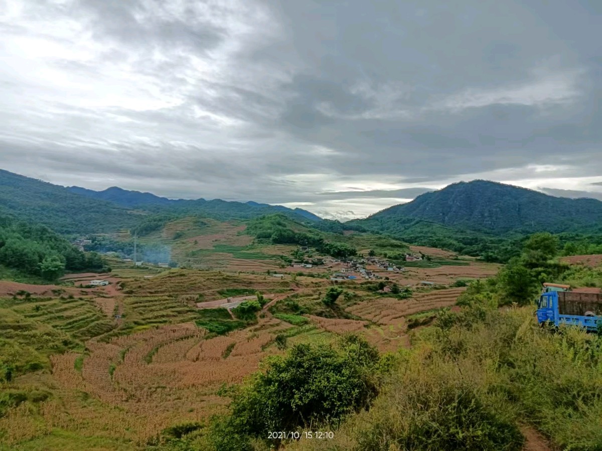 【莲子诗语】||梁雨情:足迹(小说)—北京头条(图8)