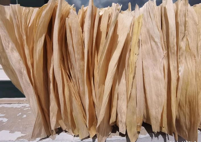 散文·情系玉米叶 作者：姚树学 朗诵：逯家驹（图4）