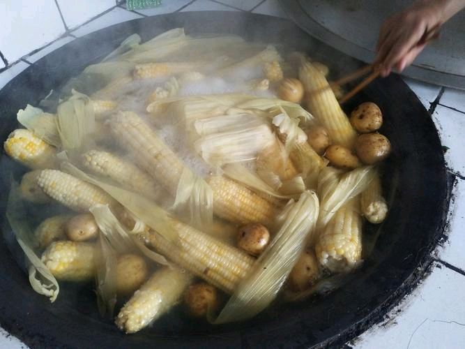 散文·情系玉米叶 作者：姚树学 朗诵：逯家驹（图5）
