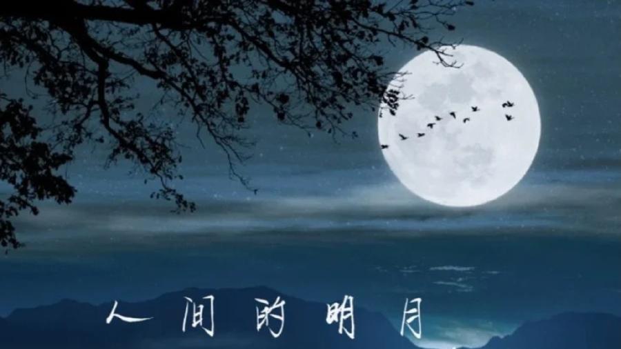 张雅：《如果不是这个良夜》外一首｜海外头条（图5）