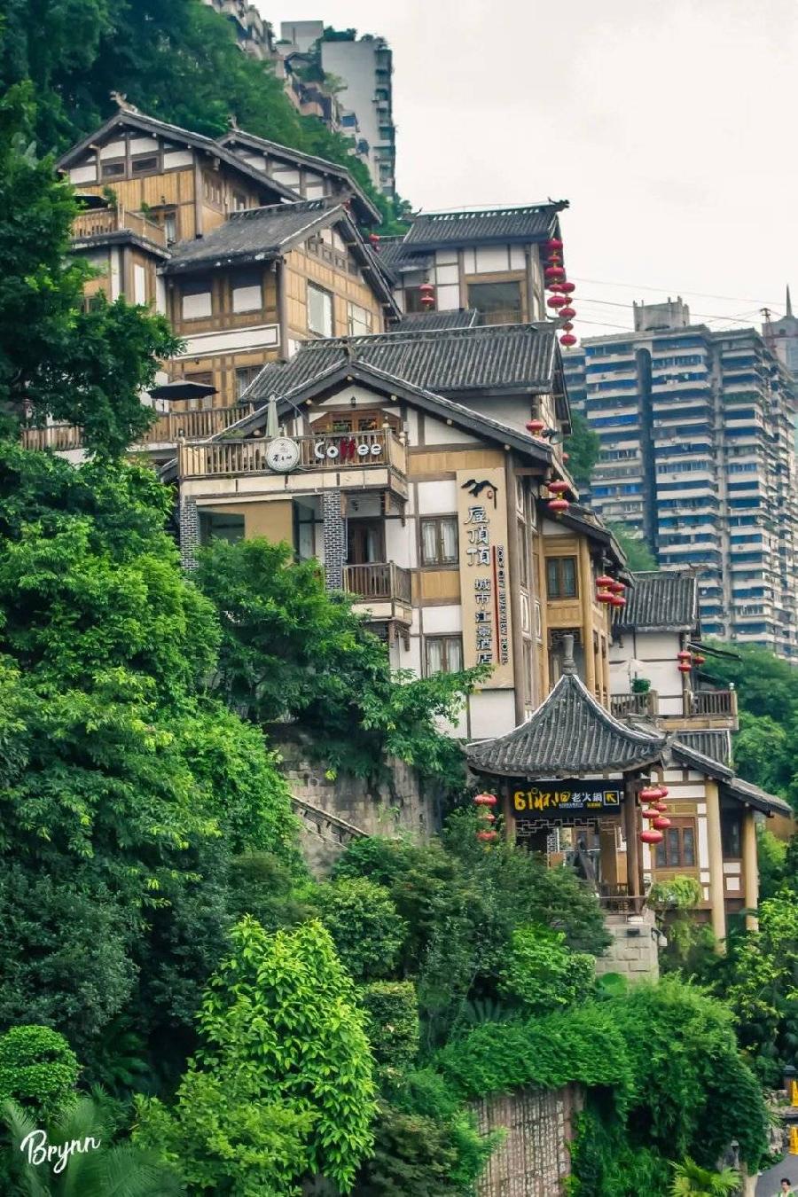 【新山东文学社】《多彩重庆》作者/陈传贞（图5）
