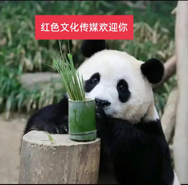 【江南夜色】作者·莞尔（广西北海）