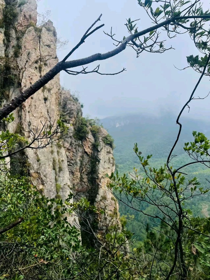 联机全球发布牟福香《精彩晨语》（图82）