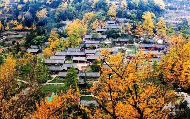 《著名现代诗人刘文波古诗七律》作者:刘文波 [中国现代诗歌文化传媒]（图6）