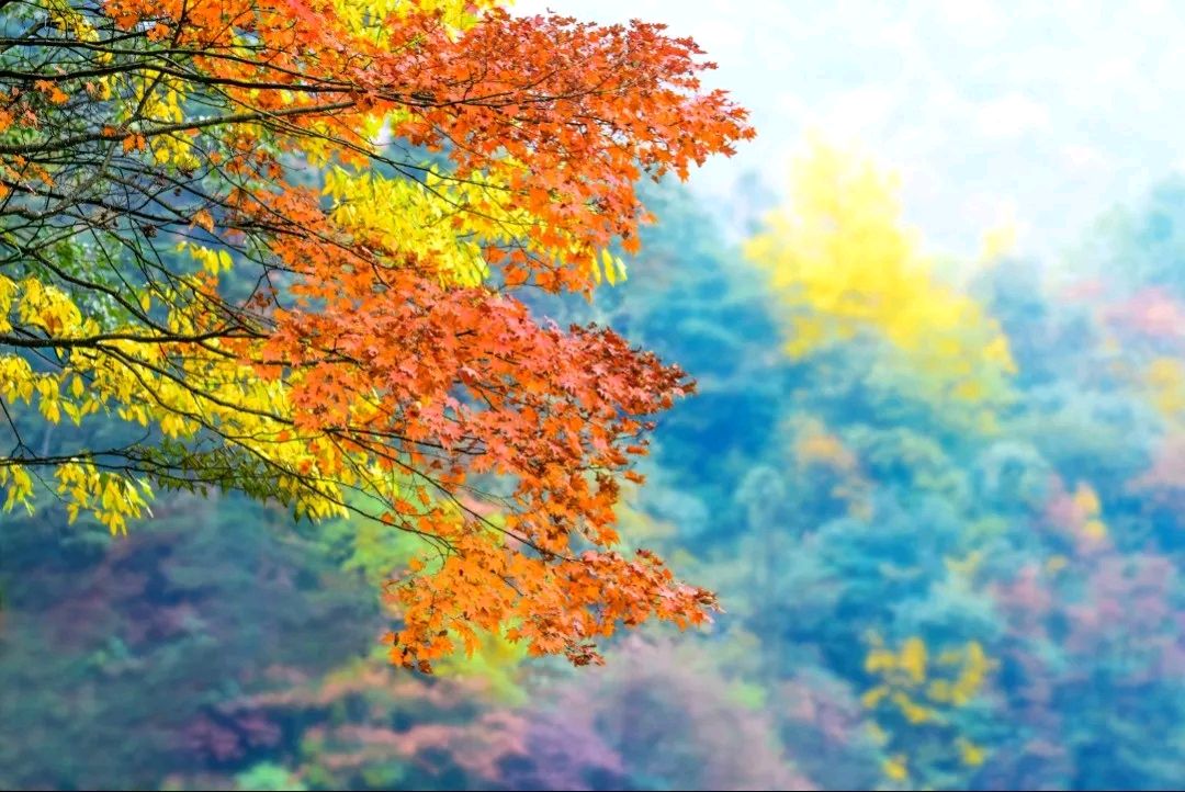 【电视剧连载1】《瓦屋山迷魂凼》文/汤文来第一章：神秘的邀请（图2）