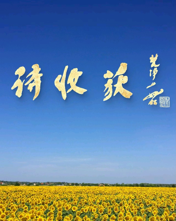 公告！公告！公告！思归客系列丛书《诗歌万里行》截稿，《诗收获》开始征稿，望朋友们踊跃投稿支持思归客……