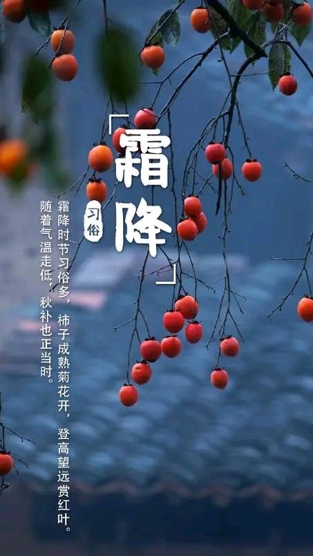七绝-霜降吟怀～诗||王政（图8）