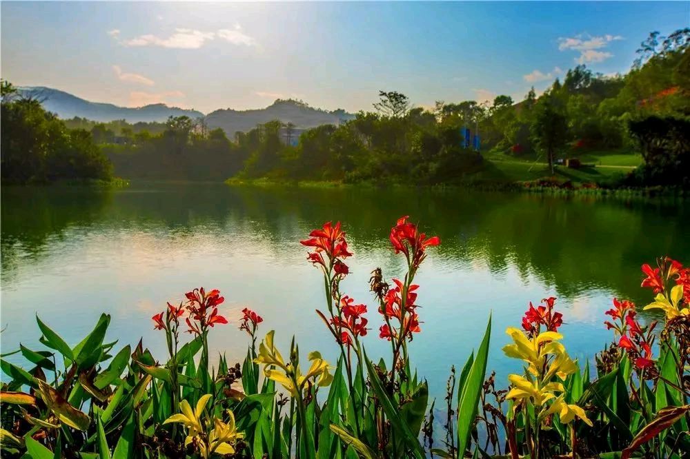 雨后湖光山色/崔和平（图6）