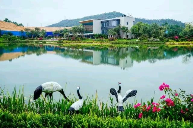 雨后湖光山色/崔和平（图5）
