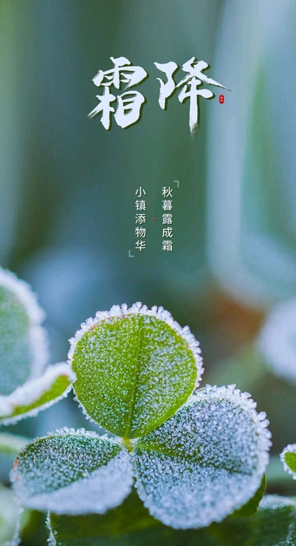 七律-霜降题吟（组合）诗||童歌（图8）