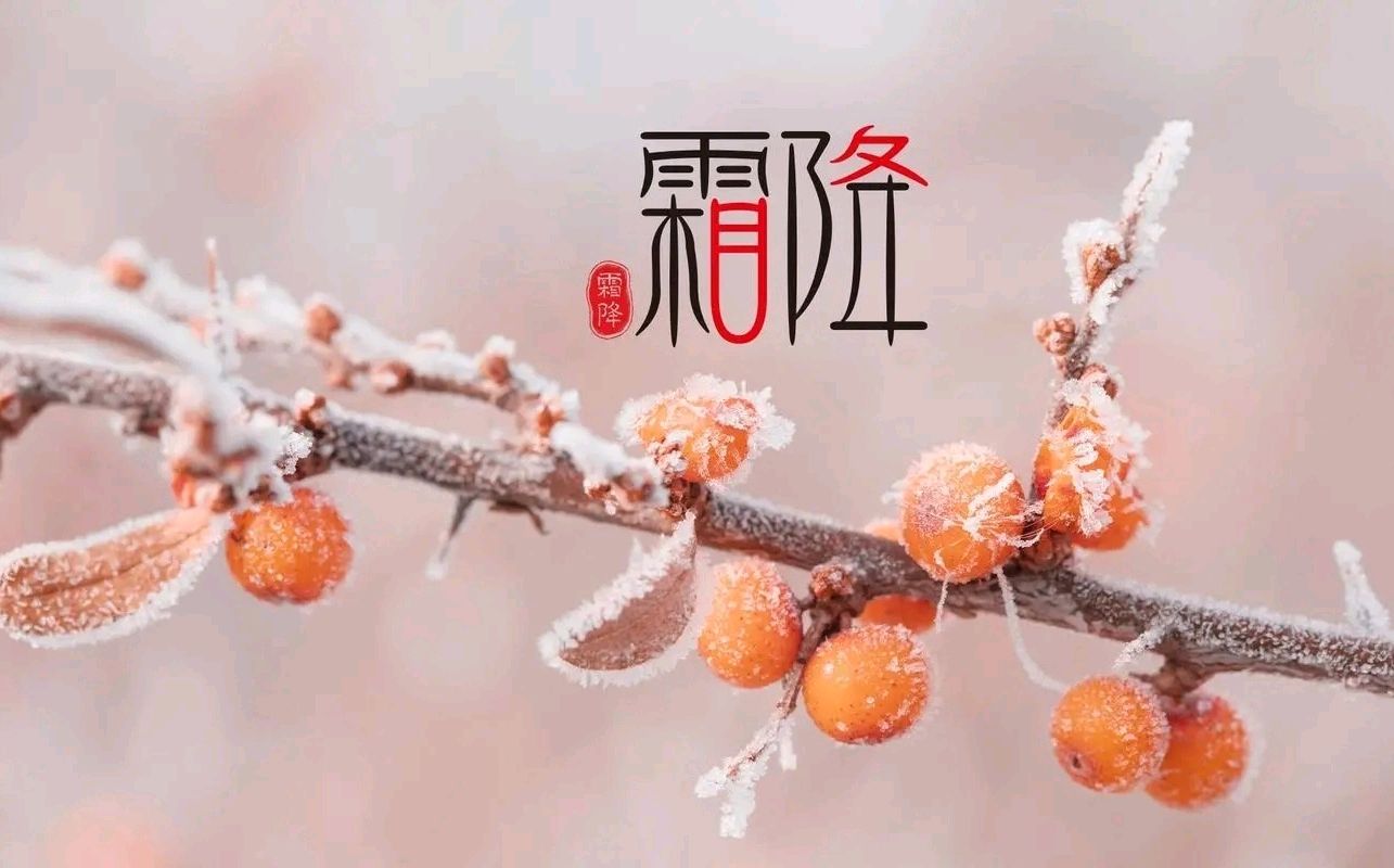 七律-霜降题吟（组合）诗||童歌（图14）