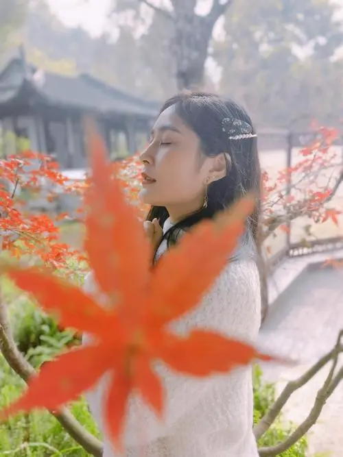 七律-霜降题吟（组合）诗||童歌（图17）