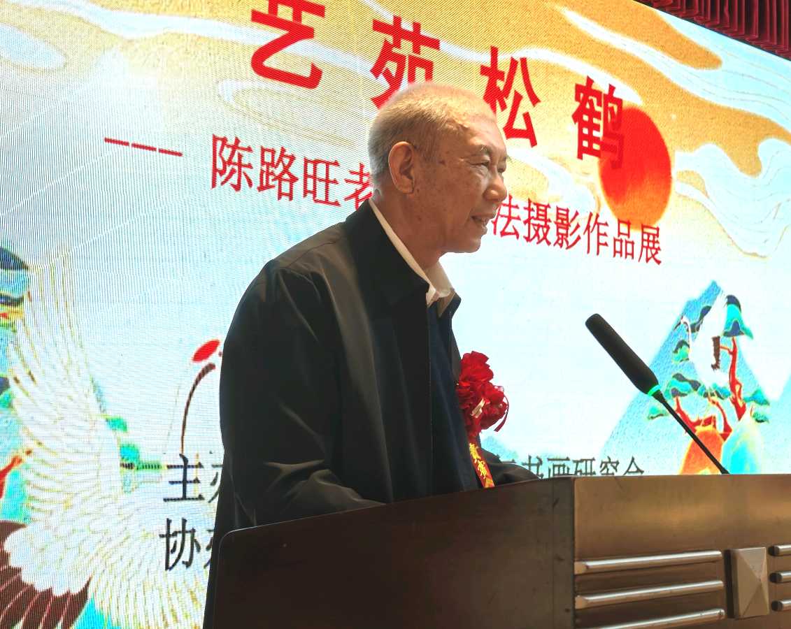 书法摄影江湖秀 陈路旺老先生唯美佳作欣赏∥中国桂林都市漓江诗书画社微刊总（第211期）∥书法江湖网络展总（第3期）（图3）
