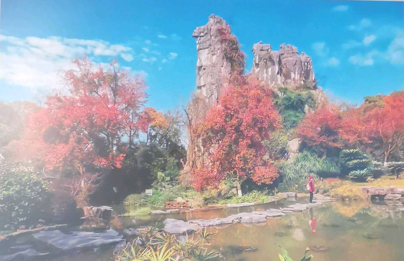 书法摄影江湖秀 陈路旺老先生唯美佳作欣赏∥中国桂林都市漓江诗书画社微刊总（第211期）∥书法江湖网络展总（第3期）（图31）