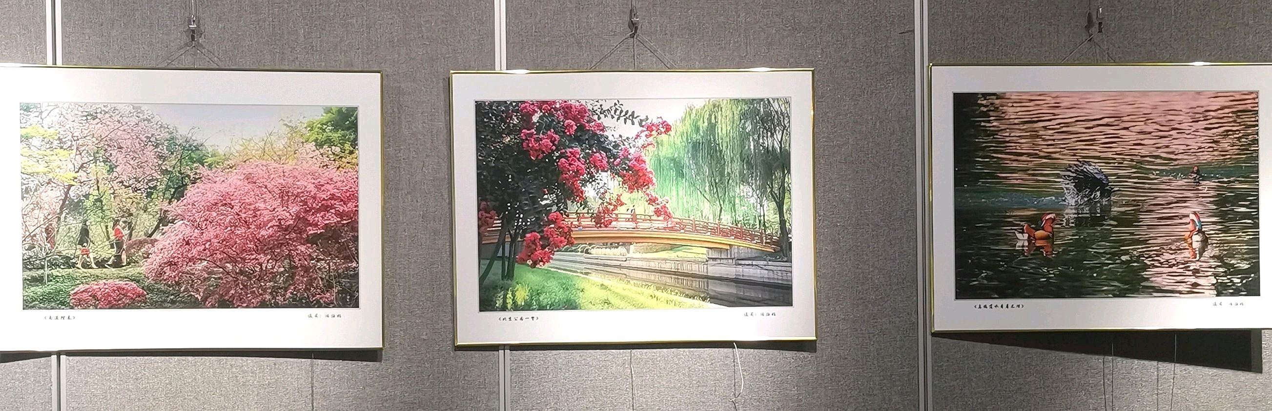 书法摄影江湖秀 陈路旺老先生唯美佳作欣赏∥中国桂林都市漓江诗书画社微刊总（第211期）∥书法江湖网络展总（第3期）（图32）