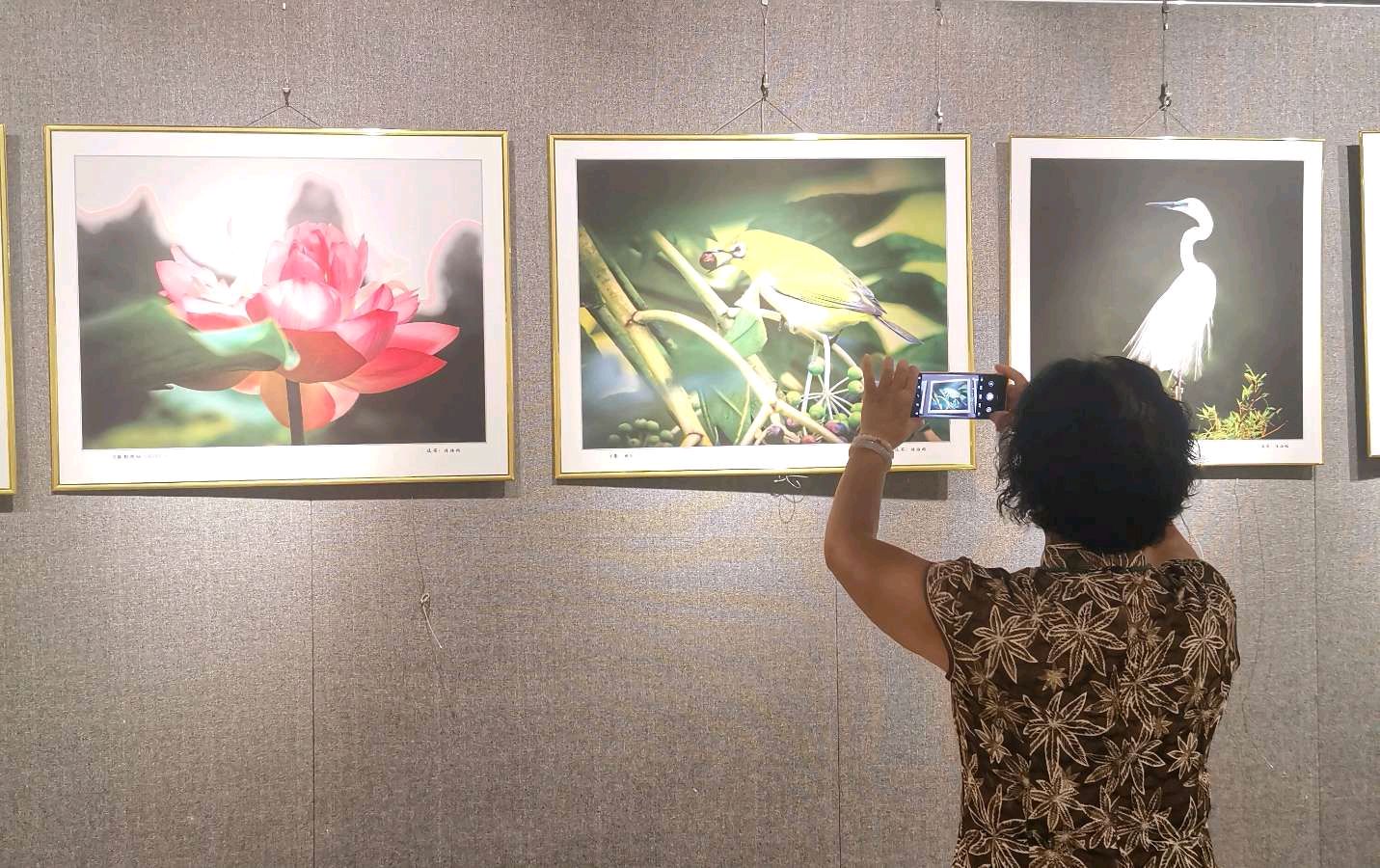 书法摄影江湖秀 陈路旺老先生唯美佳作欣赏∥中国桂林都市漓江诗书画社微刊总（第211期）∥书法江湖网络展总（第3期）（图53）