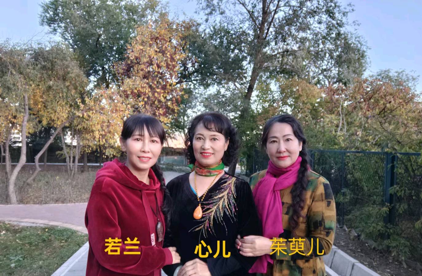 请欣赏何霖生老师的佳作【七绝·咏菊】六首/朗诵:若兰，心儿，茱萸儿（图4）