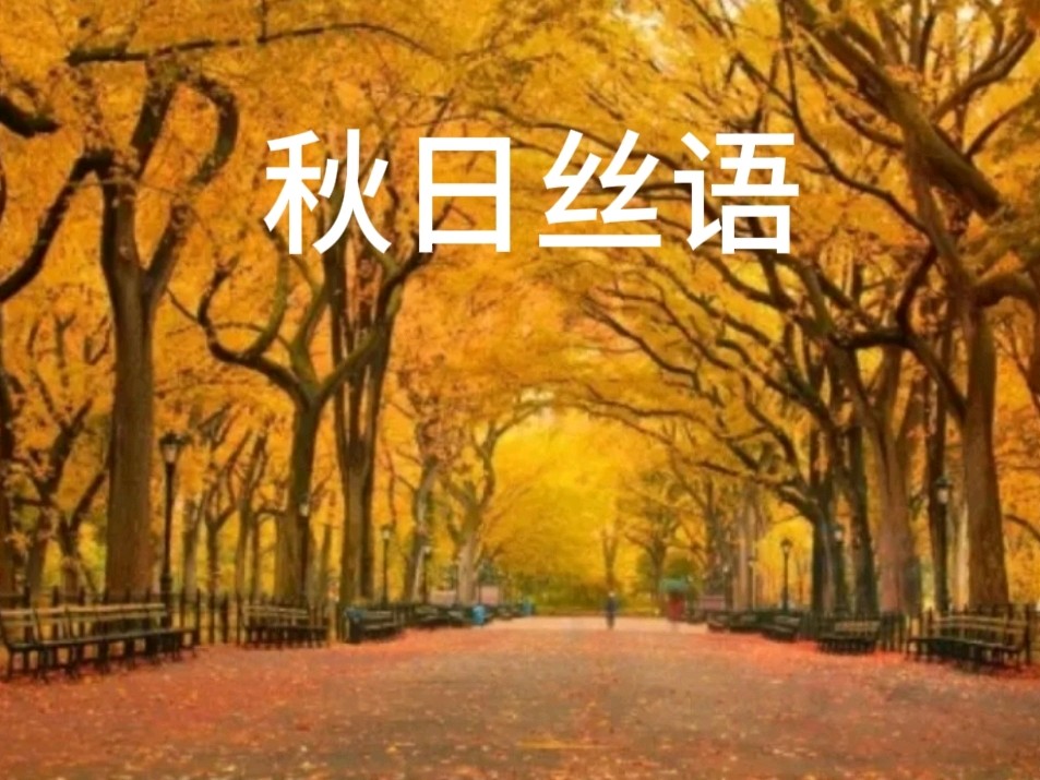 《许峰诗歌研究院》诗词歌赋欣赏【总第248期】（图9）