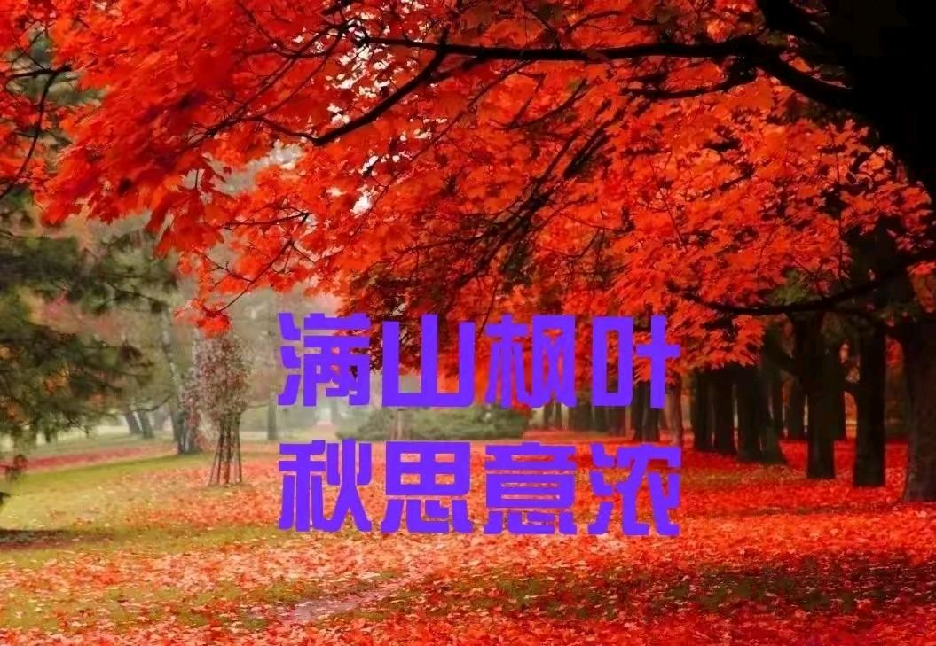 《龙游天下现代古诗七律鉴赏》作者李华 [中国现代诗歌文化传媒]（图9）