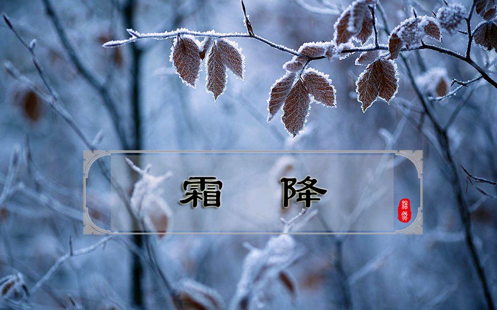 石家庄市藁城区诗词协会第五十九期同题诗《霜降》（图4）