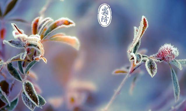 石家庄市藁城区诗词协会第五十九期同题诗《霜降》（图9）