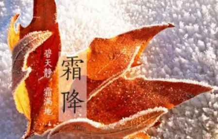石家庄市藁城区诗词协会第五十九期同题诗《霜降》（图10）