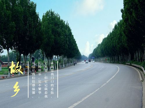 【文学天地】鲁坡//心中的远方[欣赏]（图8）
