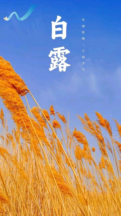 毛贻凤诗选:【章华集韵】和【三吟霜降】002期（图8）