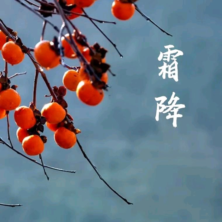 《许峰诗歌研究院》《甲辰霜降节气》专刊【总第249期】（图2）
