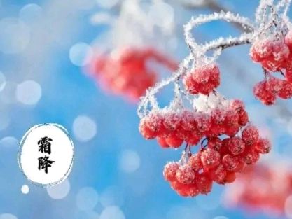 《许峰诗歌研究院》《甲辰霜降节气》专刊【总第249期】（图3）