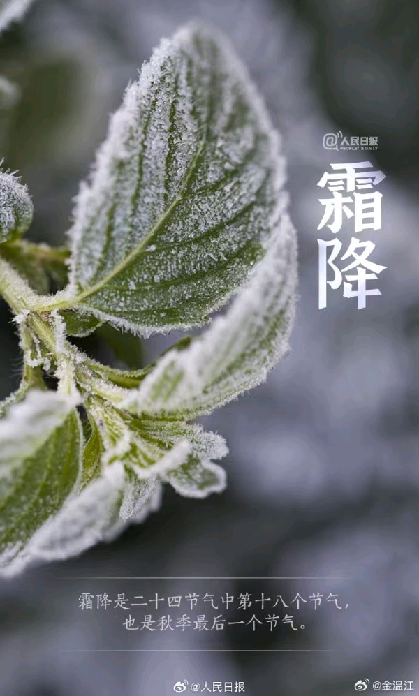 《许峰诗歌研究院》《甲辰霜降节气》专刊【总第249期】（图9）