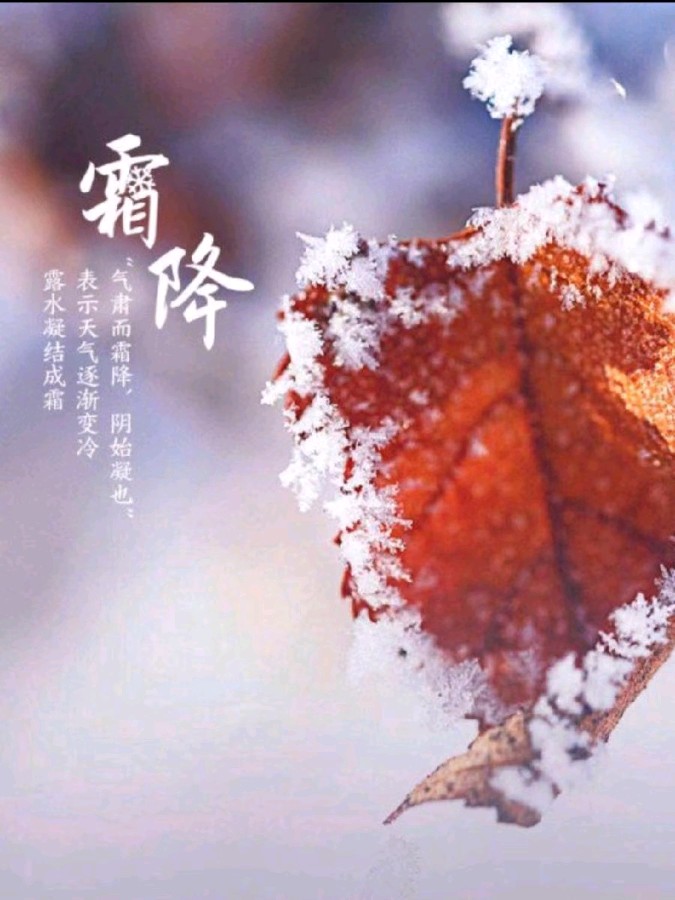《许峰诗歌研究院》《甲辰霜降节气》专刊【总第249期】（图18）