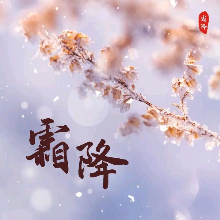 聆听 ‖ 老马朗诵《霜降五绝组诗六首》作者/花卉再开（图6）