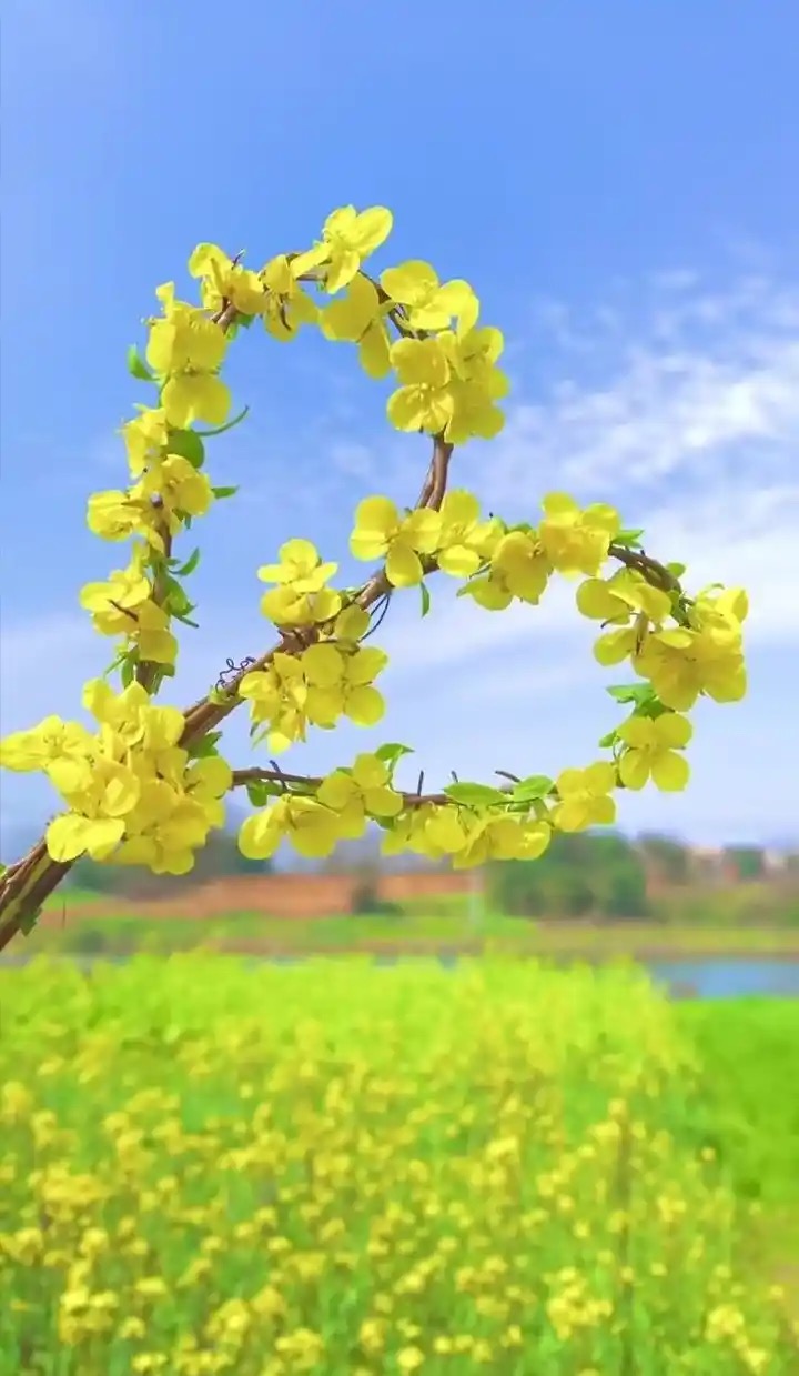 龙的妹妹：《感应》海外头条（图5）