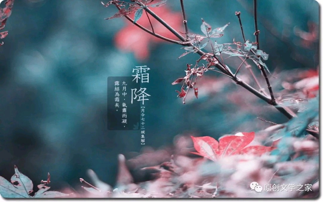 【秋日征稿•霜降专题】山东浩荡东风‖霜降