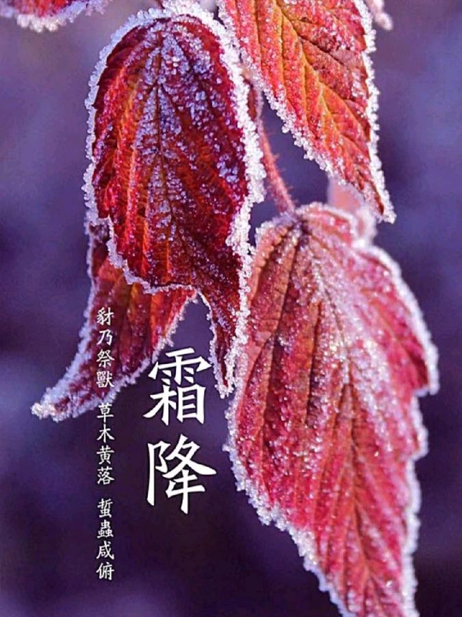 【荣耀中国】七绝•咏霜降文/温长发（图3）