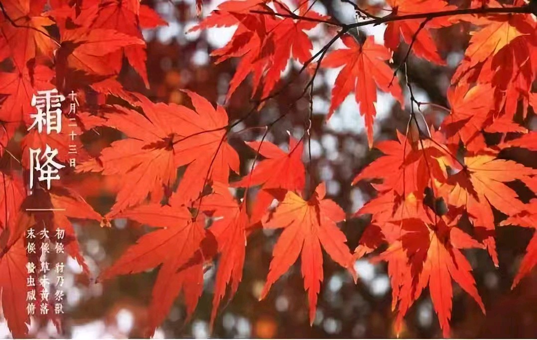 霜降節有感(组诗)文/吏少银