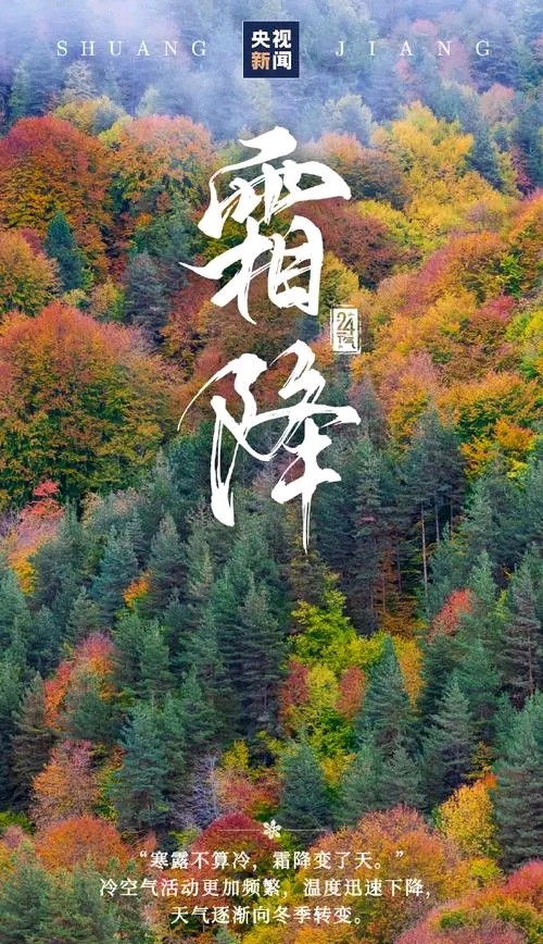 南乡子-霜降～词||刘瑞宝（图8）